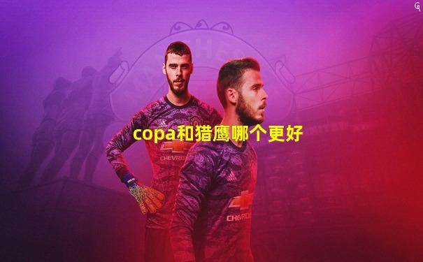 copa和猎鹰哪个更好