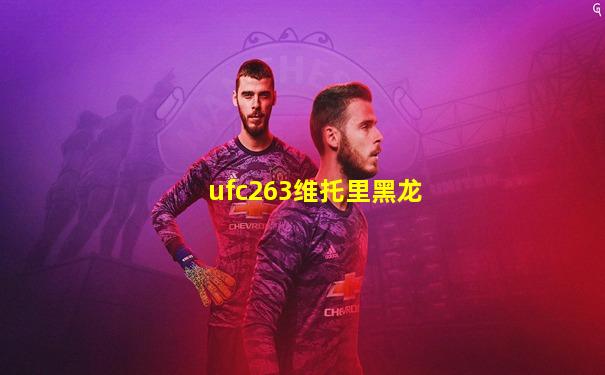 ufc263维托里黑龙