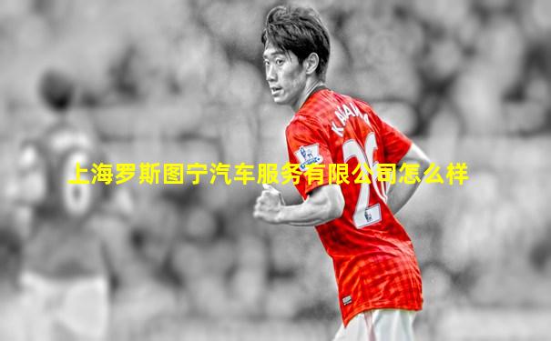 上海罗斯图宁汽车服务有限公司怎么样