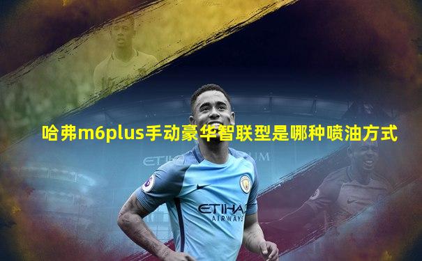 哈弗m6plus手动豪华智联型是哪种喷油方式