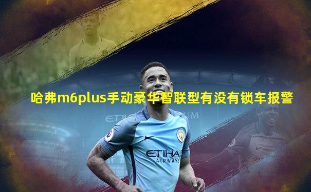 哈弗m6plus手动豪华智联型有没有锁车报警