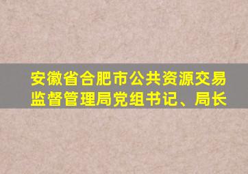 安徽省合肥市公共资源交易监督管理局党组书记、局长