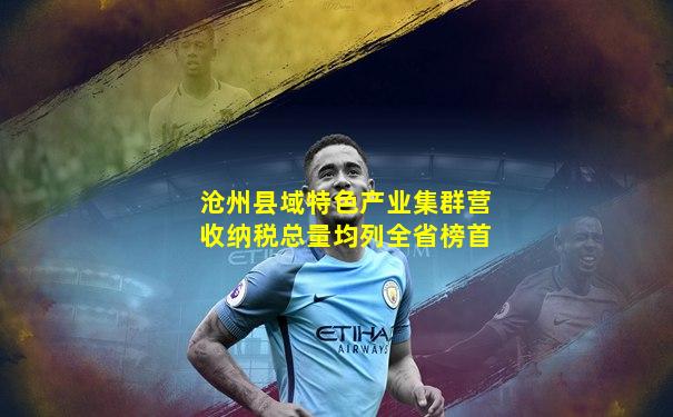 沧州县域特色产业集群营收纳税总量均列全省榜首