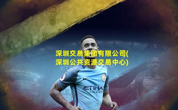 深圳交易集团有限公司(深圳公共资源交易中心)