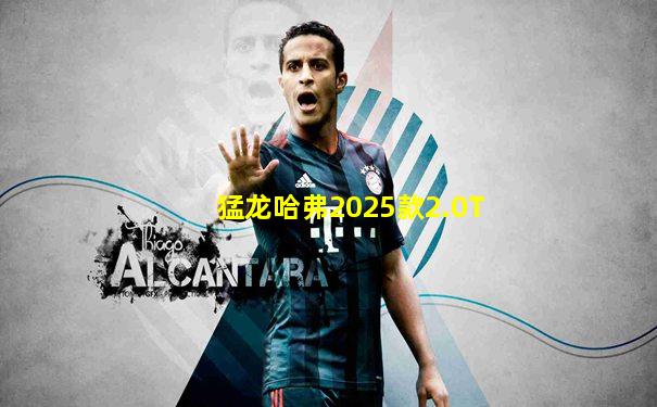 猛龙哈弗2025款2.0T