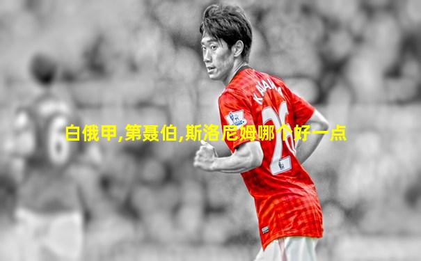 白俄甲,第聂伯,斯洛尼姆哪个好一点