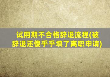 试用期不合格辞退流程(被辞退还傻乎乎填了离职申请)