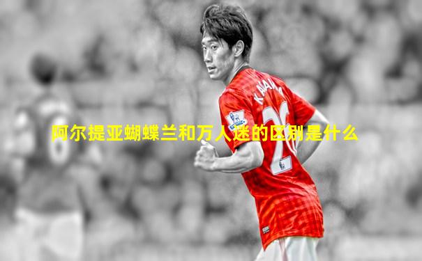 阿尔提亚蝴蝶兰和万人迷的区别是什么