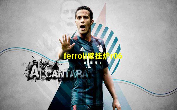 ferroli壁挂炉r06