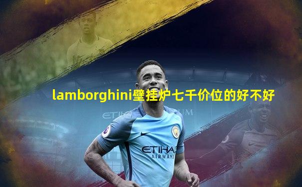 lamborghini壁挂炉七千价位的好不好