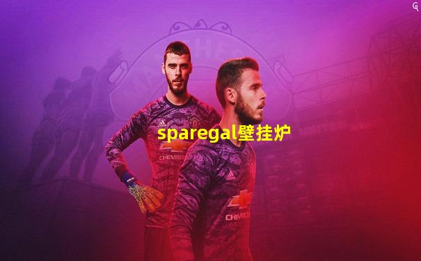 sparegal壁挂炉