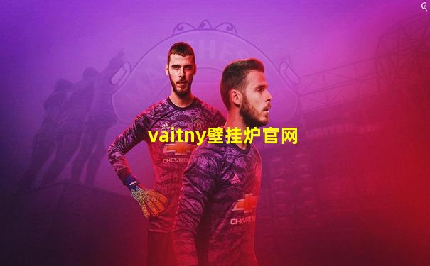 vaitny壁挂炉官网
