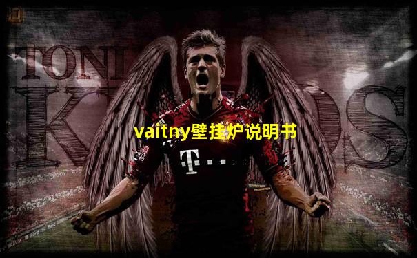 vaitny壁挂炉说明书