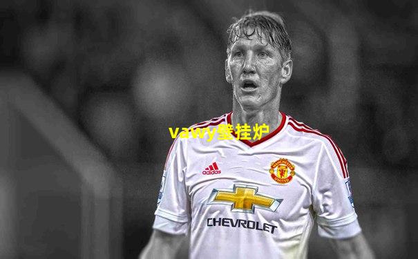 vawy壁挂炉