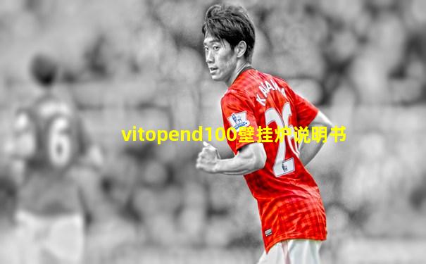 vitopend100壁挂炉说明书