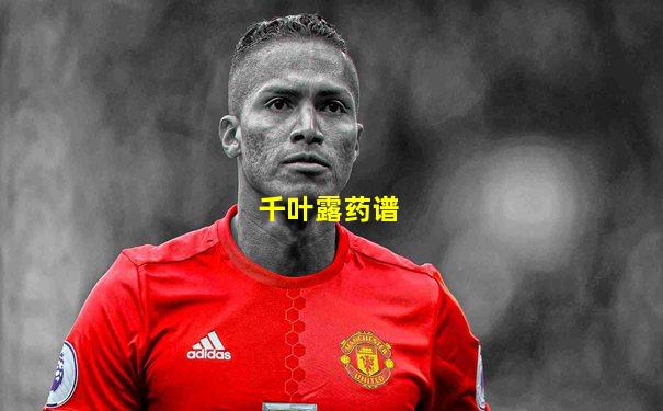 千叶露药谱