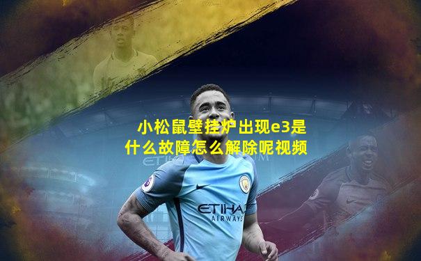 小松鼠壁挂炉出现e3是什么故障怎么解除呢视频