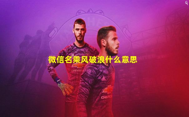 微信名乘风破浪什么意思