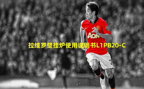拉维罗壁挂炉使用说明书L1PB20-C