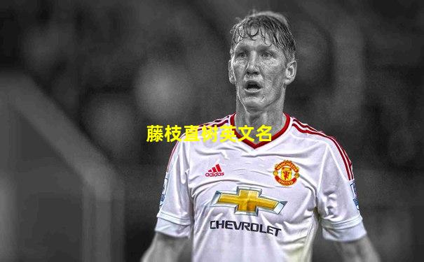 藤枝直树英文名