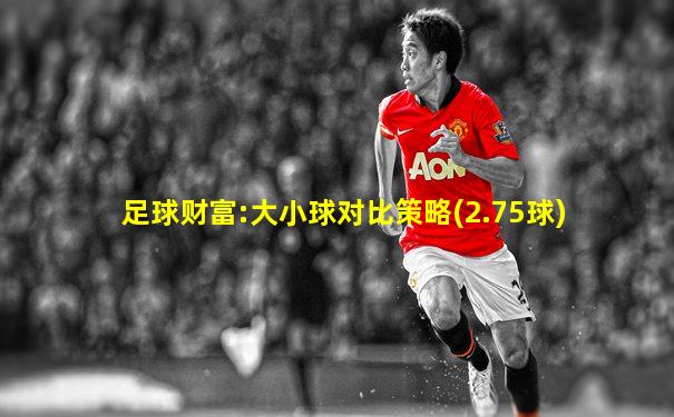 足球财富:大小球对比策略(2.75球)